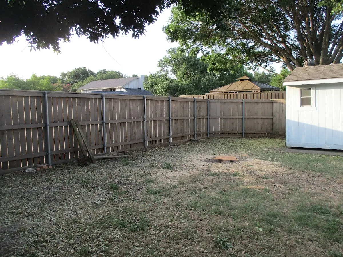Cleared yard after professional tree removal in Iola